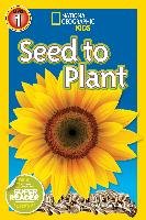 Seed to Plant Rattini Kristin Baird