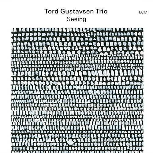 Seeing Tord Gustavsen Trio