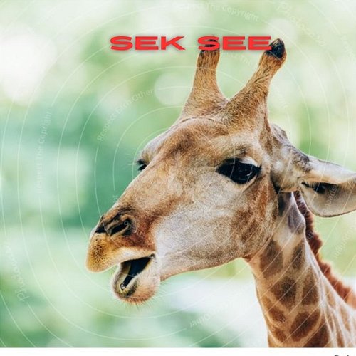 Sek see Seese