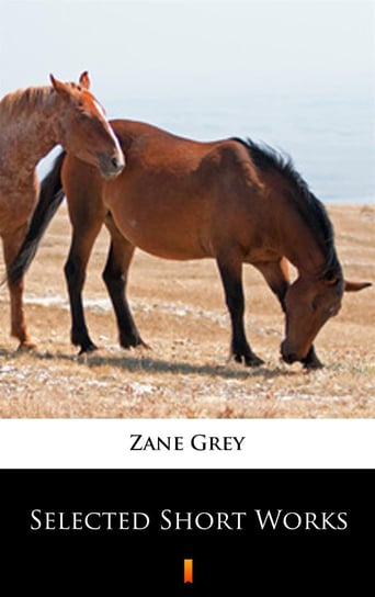 Selected Short Works Grey Zane