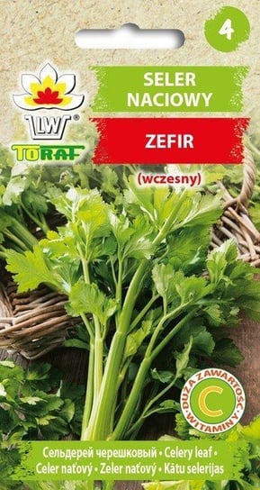 Seler naciowy ZEFIR (wczesny)
Apium graveolens L. var. dulce Toraf