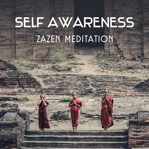Self Awareness: Zazen Meditation – Progressive Relaxation, Stress Control, Asian Chakra Balancing, Naturopathy Spiritual Healing Consort