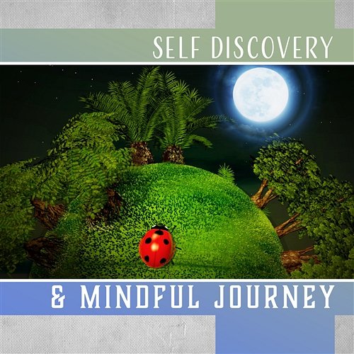 Self Discovery & Mindful Journey: Search Your True Nature, Soul Vibrations, Harmony & Meditation, Flow of Light Inner Power Oasis