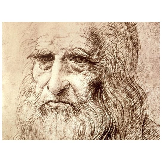 Self Portrait - Leonardo Da Vinci 60x80 Legendarte