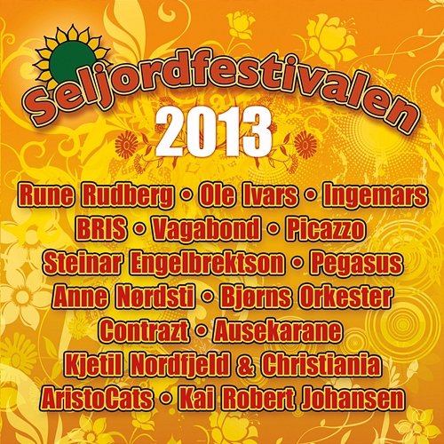 Seljordfestivalen 2013 Various Artists