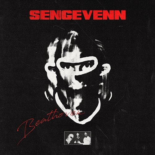 SENGEVENN Beathoven, Andreas Stabell