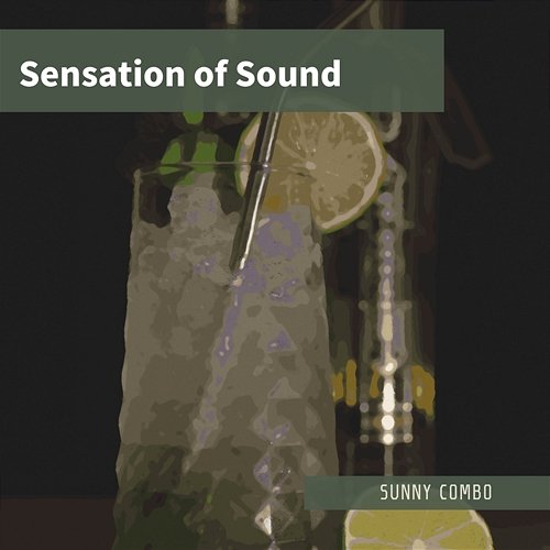 Sensation of Sound Sunny Combo