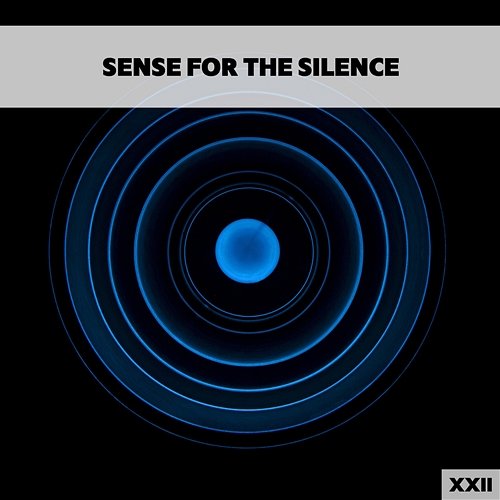 Sense For The Silence XXII Various Artists