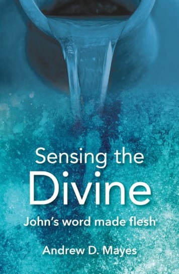 Sensing the Divine Johns word made flesh Andrew D. Mayes