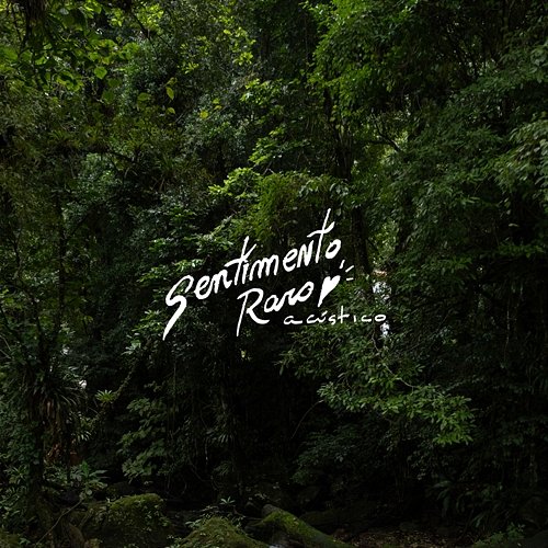 Sentimento Raro Zeeba