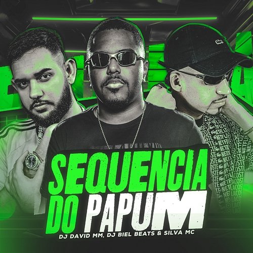 Sequência do Papum Silva Mc & DJ Biel Beats, DJ David MM