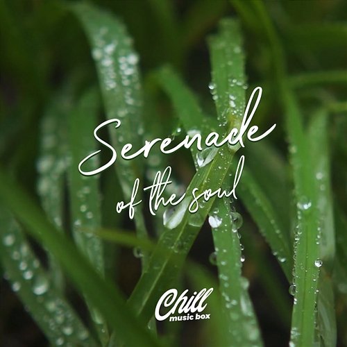 Serenade Of The Soul Chill Music Box