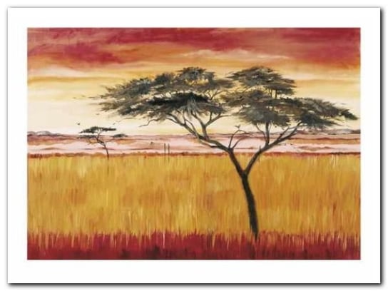 Serengeti Dawn plakat obraz 80x60cm Wizard+Genius