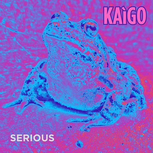 Serious Kaigo