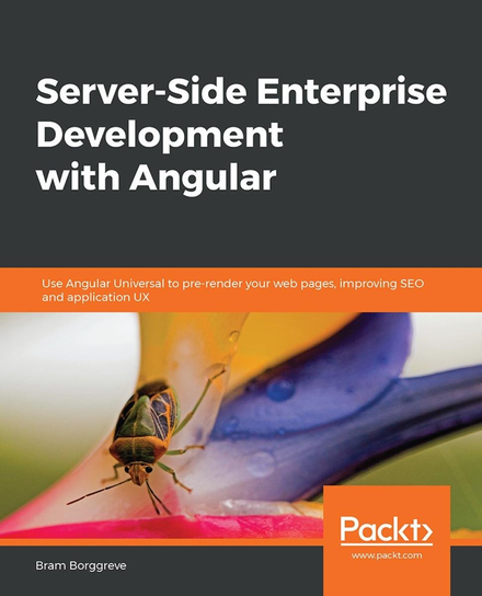 Server-Side Enterprise Development with Angular - ebook epub Borggreve Bram