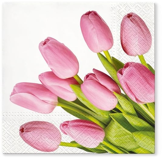 Serwetki Urocze tulipany 33 x 33 cm 20 szt. PAW PAW