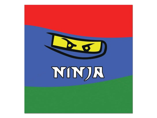 Serwetki urodzinowe Ninja - 33 cm - 20 szt. Congee.pl