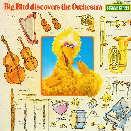 Sesame Street: Big Bird Discovers the Orchestra Sesame Street