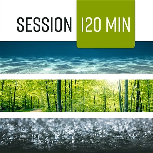 Session: 120 Min Ocean, Rain, Forest, Nature Sounds, Meditation, Relaxation, Massage, Focus, Healing Ambient Oasis of Relaxation Meditation