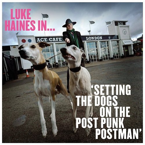 Setting The Dogs On The Post Punk Postman Luke Haines