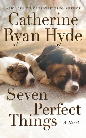 Seven Perfect Things: A Novel Hyde Catherine Ryan