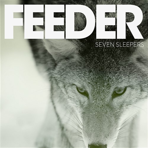 Seven Sleepers Feeder