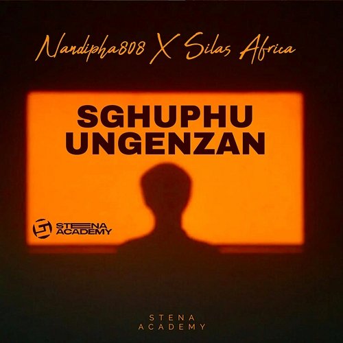 Sghuphu Ungenzan Nandipha808 feat. Silas Africa