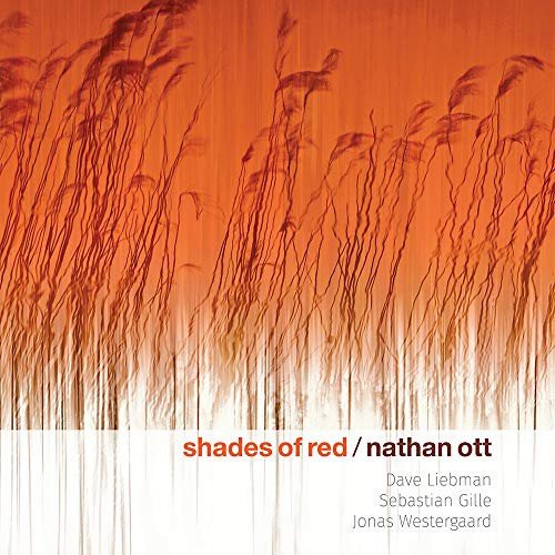 Shades Of Red Various Artists