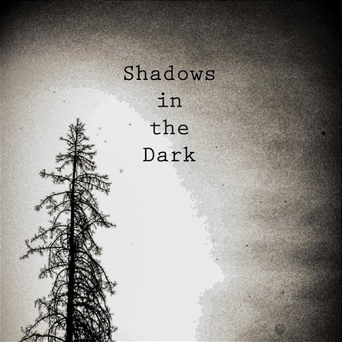 Shadows in the Dark k.pete feat. Sarah Ringer