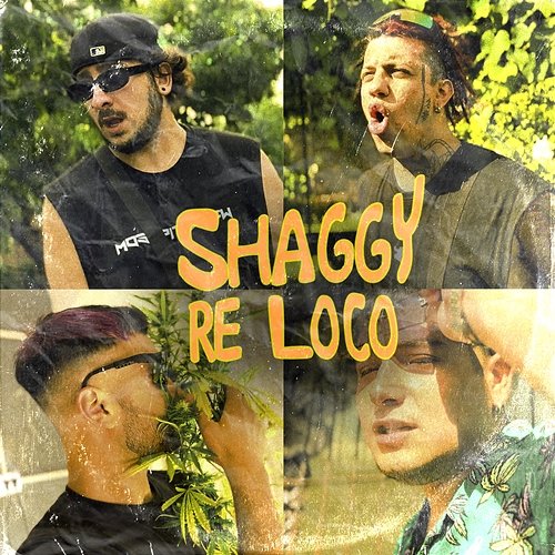 SHAGGY RE LOCO GIIANPA NK, ARTIX!, Maylo 420 feat. ElBroda, JALFON