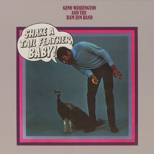 Shake A Tail Feather Geno Washington & The Ram Jam Band