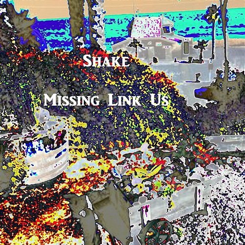 Shake Missing Link Us