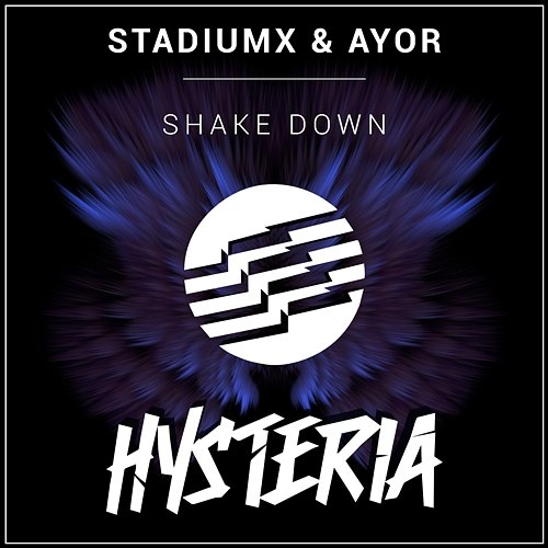 Shake Down Stadiumx & AYOR