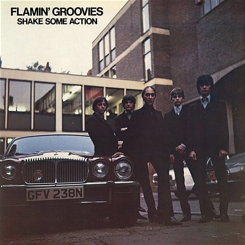 Shake Some Action Flamin' Groovies