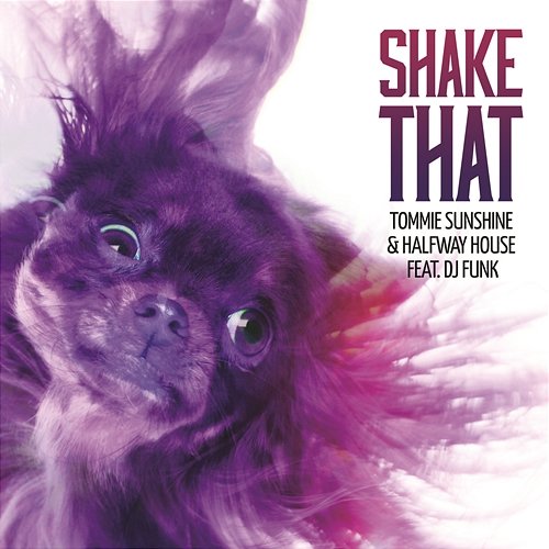 Shake That Tommie Sunshine & Halfway House feat. DJ Funk