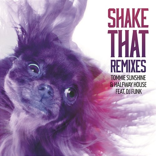 Shake That Tommie Sunshine & Halfway House feat. DJ Funk