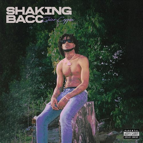 Shaking Bacc Chino