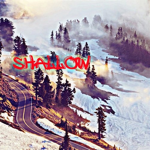 Shallow Shanna Baskin