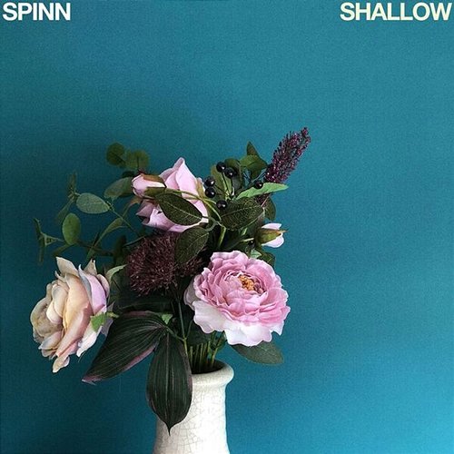 Shallow SPINN