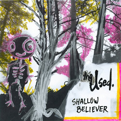 Shallow Believer The Used
