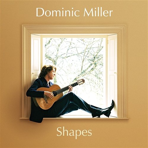 Shapes Dominic Miller
