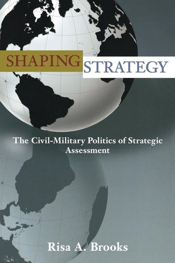 Shaping Strategy Brooks Risa