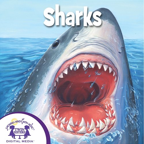 Sharks Nashville Kids' Sound, Kim Mitzo Thompson