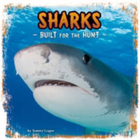 Sharks: Built for the Hunt Tammy Gagne