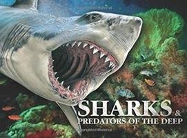 Sharks & Predators of the Deep Barraclough Susan