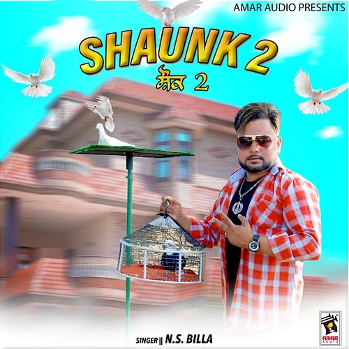 Shaunk 2 N.S. Billa