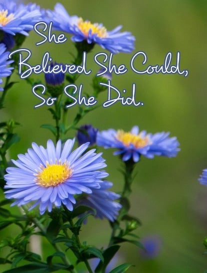 She Believed She Could, So She Did Journals June Bug