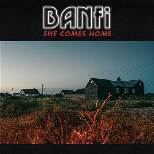 She Comes Home Banfi