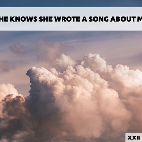 She Knows She Wrote A Song About Me XXII Various Artists