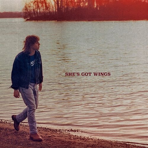 She's Got Wings Dipper